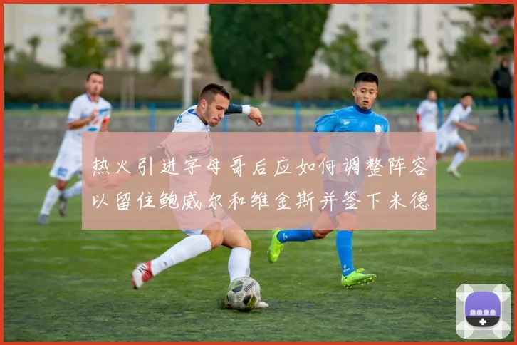 热火引进字母哥后应如何调整阵容以留住鲍威尔和维金斯并签下米德尔顿