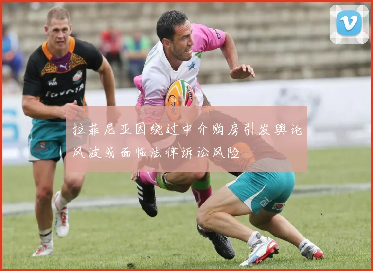 拉菲尼亚因绕过中介购房引发舆论风波或面临法律诉讼风险